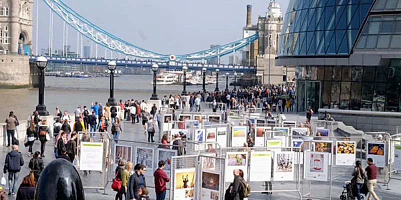 TPOTY London exhibition